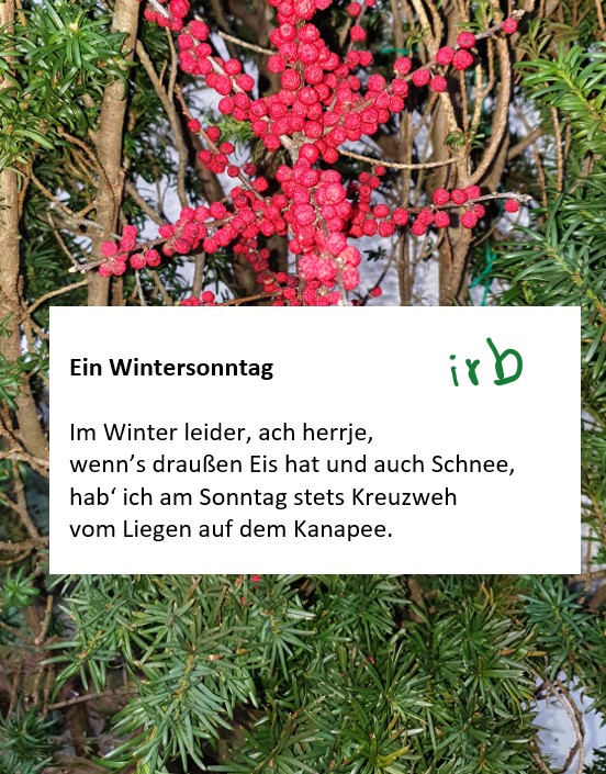Ein Wintersonntag