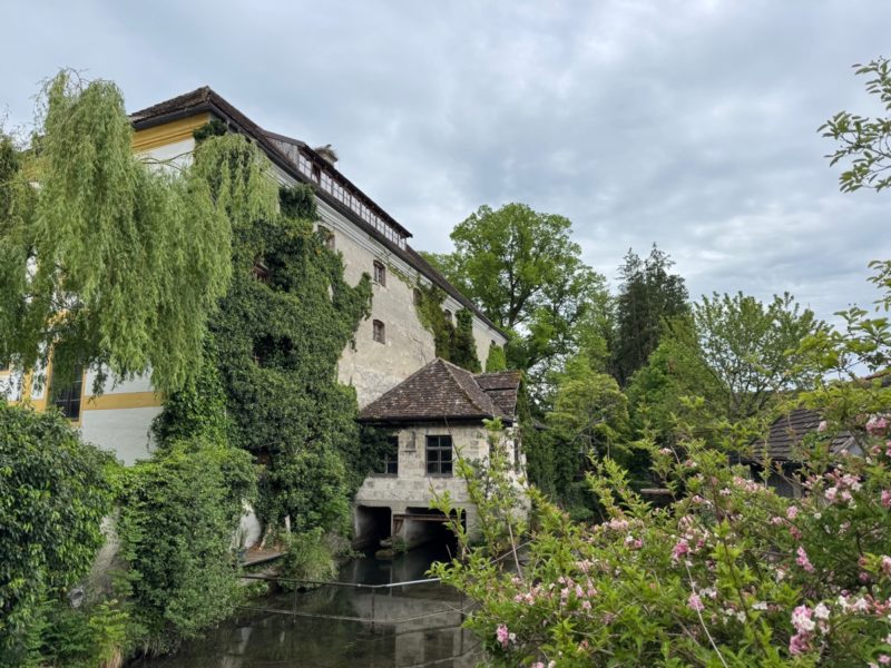 Idyllischer Blick auf Polling mit Storchennest – spontan entdeckt beim Fahrrad-Ausflug