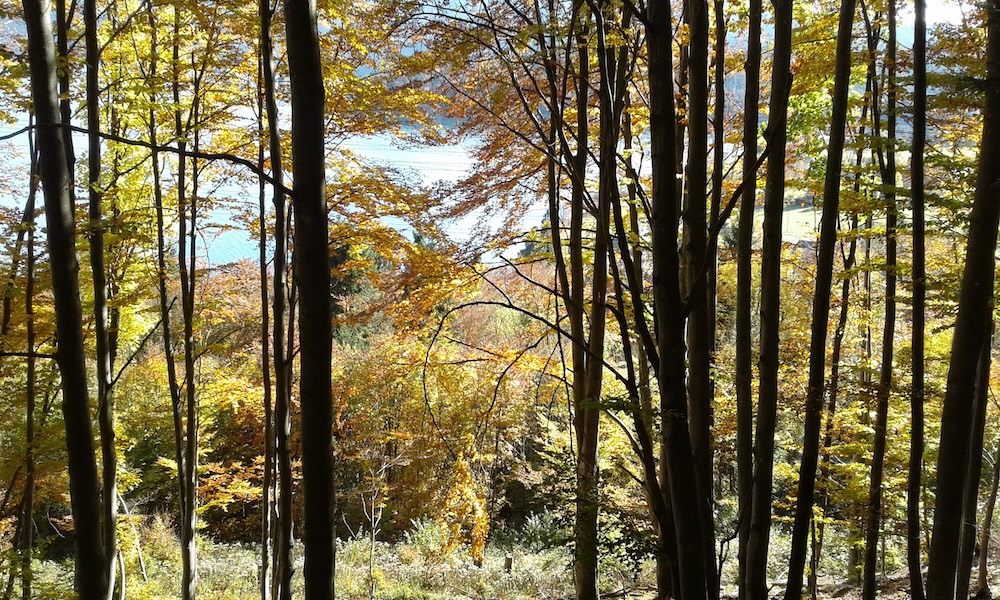 Sonntag im Oktober