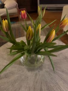 Frische Tulpen in einer Glasvase als leises Symbol für Neubeginn und gute Vorsätze im Januar