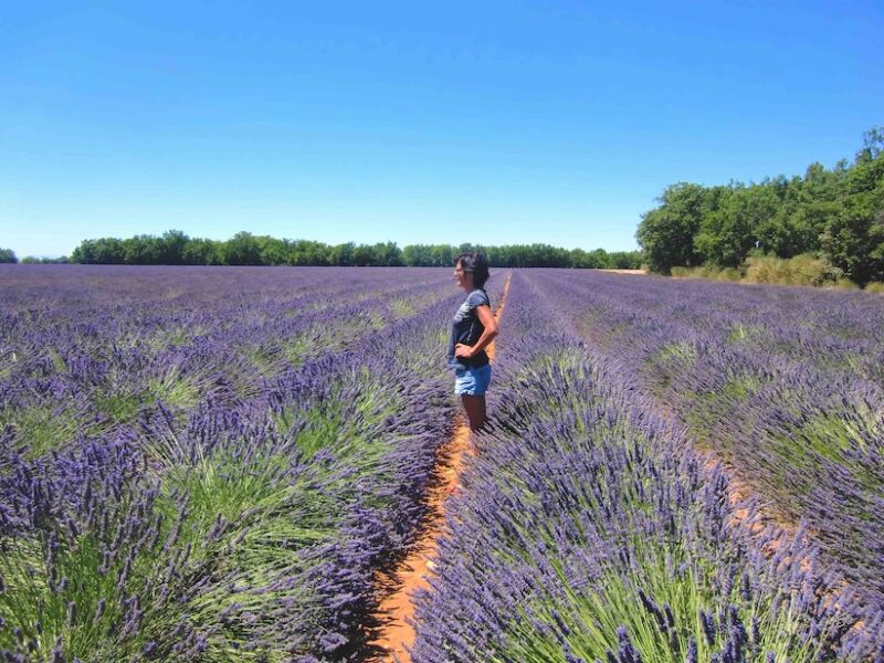 Frau steht in einem Lavendelfeld in Südfrankreich und genießt einen ruhigen Moment – Sinnbild für innere Auszeit und Gedankenfunken