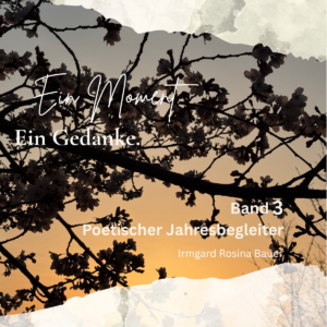 Ein Moment ein Gedanke. Band 3 von 3