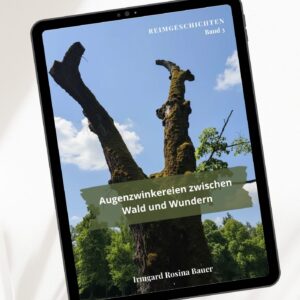 Reimgeschichten Band 3