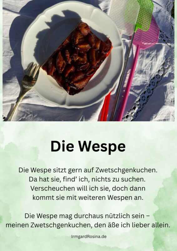 Humorvolles Gedicht „Die Wespe“ von Irmgard Rosina Bauer mit Foto eines Stücks Zwetschgenkuchen auf einem gedeckten Tisch.