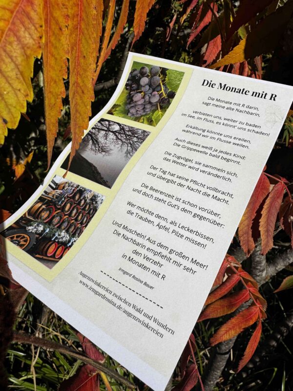 Ausgedrucktes Herbstgedicht „Die Monate mit R“ von Irmgard Rosina Bauer zwischen orange-rotem Herbstlaub.