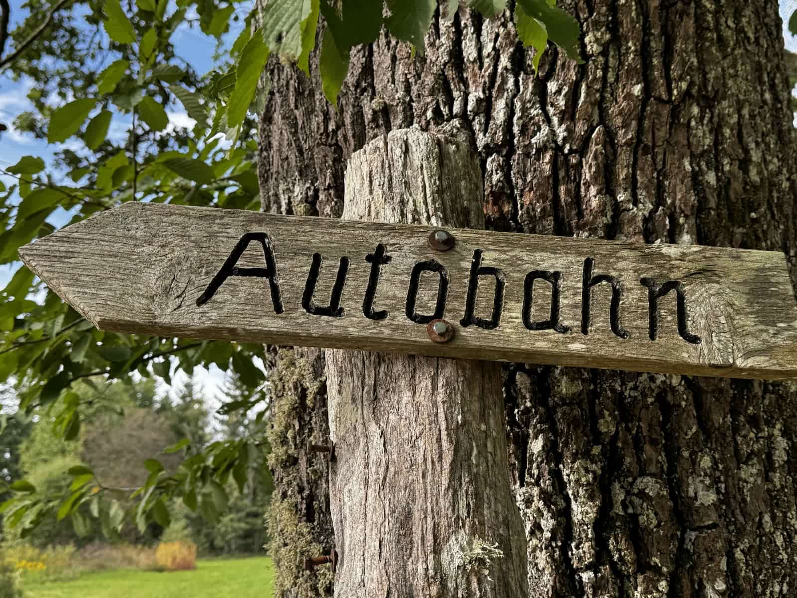 Holzschild mit der Aufschrift „Autobahn“ an einem Baum – humorvolles Motiv zum Gedicht „Moderne Fortbewegung“.