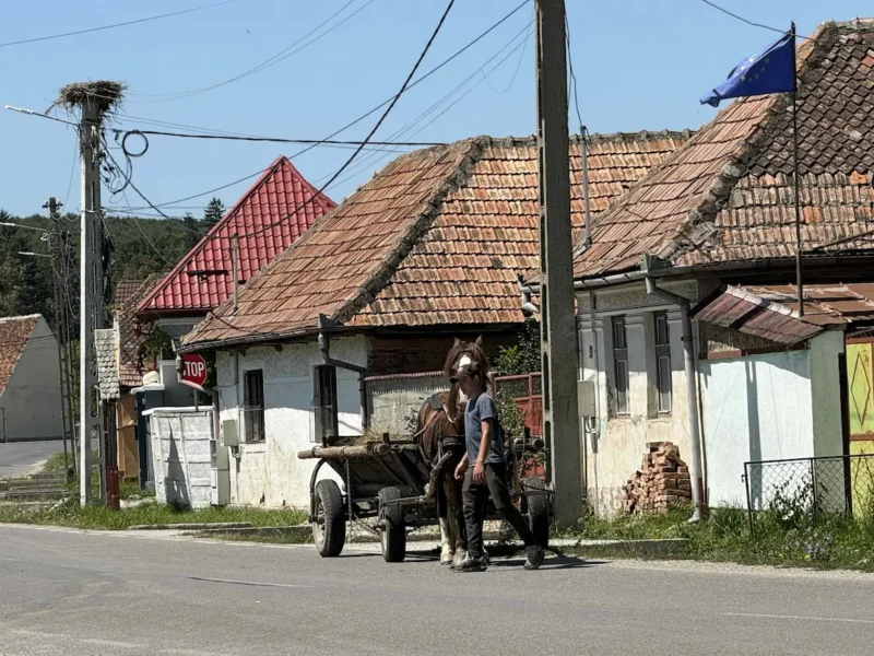 Pferdewagen vor traditionellen Häusern in einem Dorf in Siebenbürgen – Alltag zwischen Herkunft, Heimat und Gegenwart.